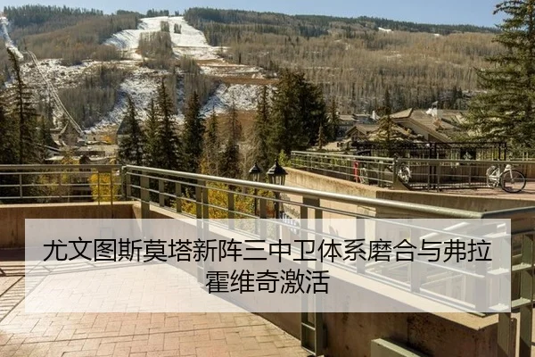 尤文图斯莫塔新阵三中卫体系磨合与弗拉霍维奇激活