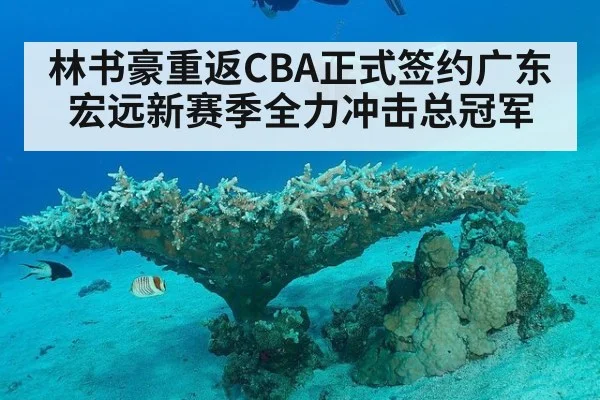 林书豪重返CBA正式签约广东宏远新赛季全力冲击总冠军